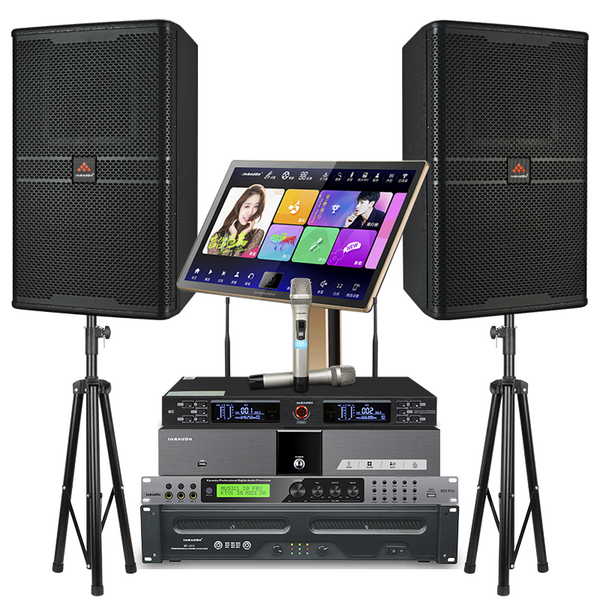 2025 Bundled Luxury Professional Karaoke System Set